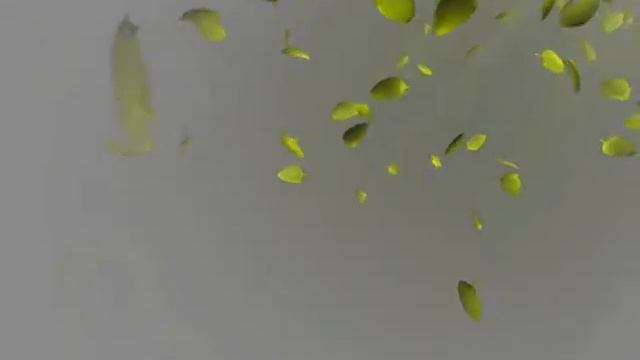 Футаж рамка падающие зелёные листья смотреть онлайн