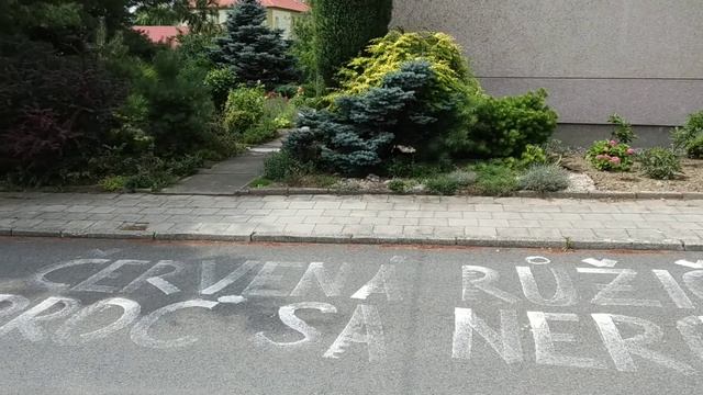 Bzenec. Любви все возрасты покорны смотреть онлайн