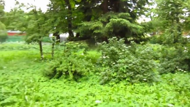 мангал из ,,прокатной стали,,+мой полудикий сад смотреть онлайн