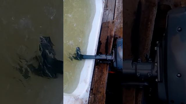 Sea Pro 2 5 первый запуск 1й час