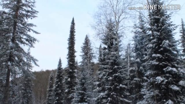 Камера замерзает что делать?