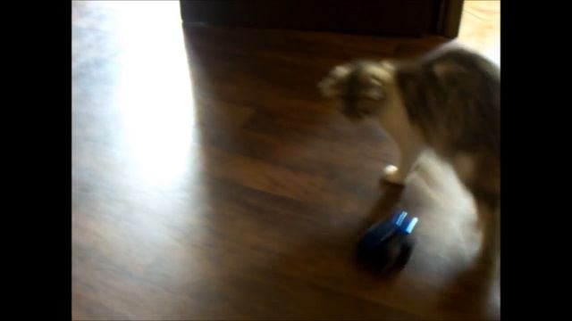 Машинка смотреть онлайн