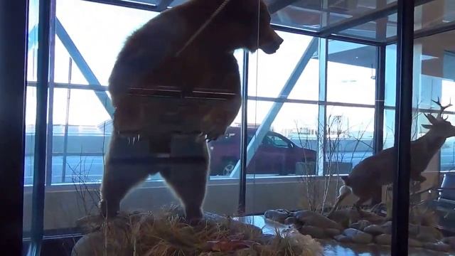 #440 США Аляска Анкоридж День отъезда Аэропорт До свидания Аляска смотреть онлайн