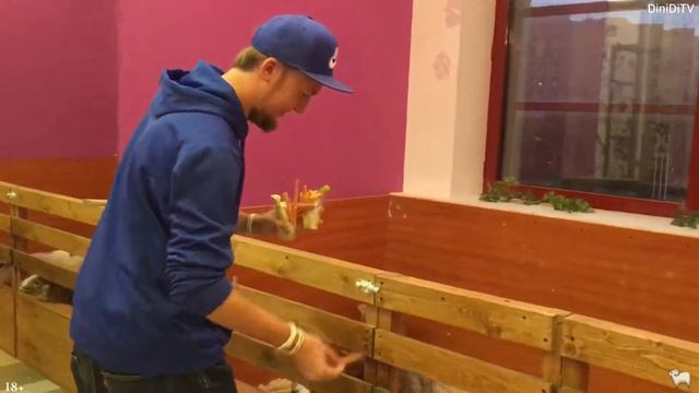 Контактный Зоопарк Обзор смотреть онлайн