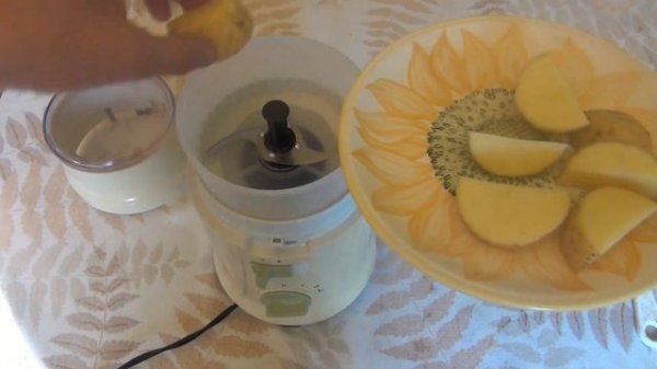 Functional Testing - Food Processor ( Food Chopper) BRAUN Type 4250