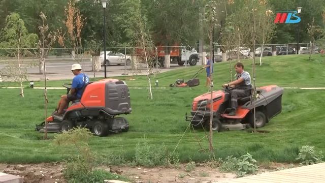 Готовность Александро-Невского собора в Волгограде составила 98,6% смотреть онлайн