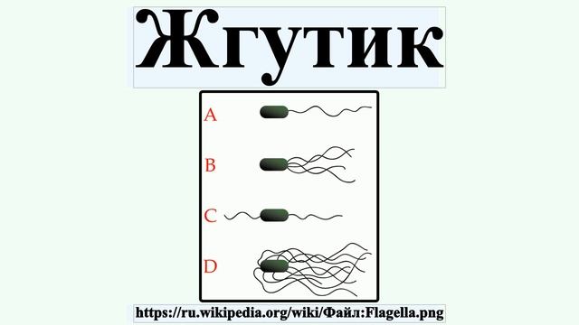 Жгутик смотреть онлайн