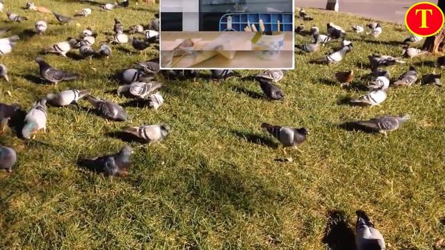 吴磊的快乐瞬间：一次简单的碳水满足 смотреть онлайн