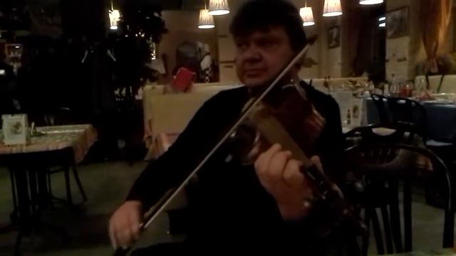 скрипка Мережников