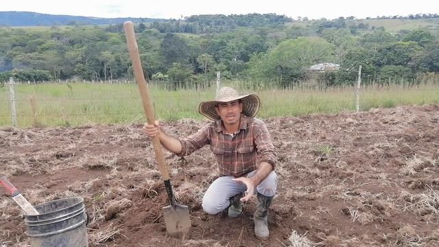 Como sembrar correctamente plátano y en que Luna 🌱🌒🌑 смотреть онлайн