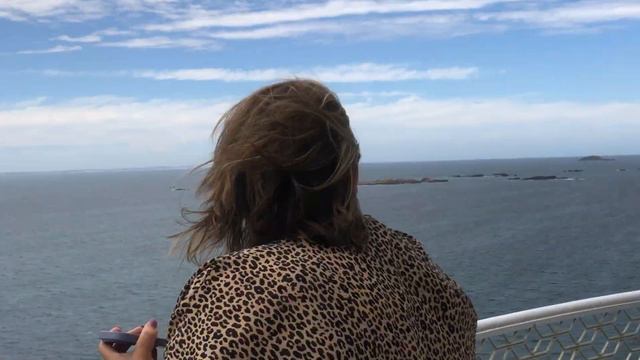 Стая дельфинов з маяка смотреть онлайн