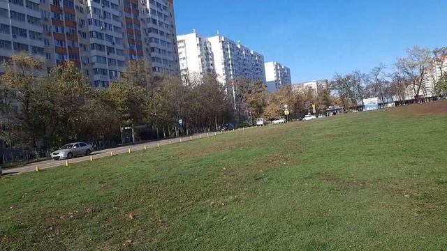 Трачу деньги. Зачем мне этот молоток? #жизньнаюге