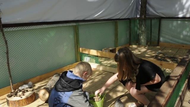 Оренбургский детский контактный зоопарк Мини-Пиги смотреть онлайн