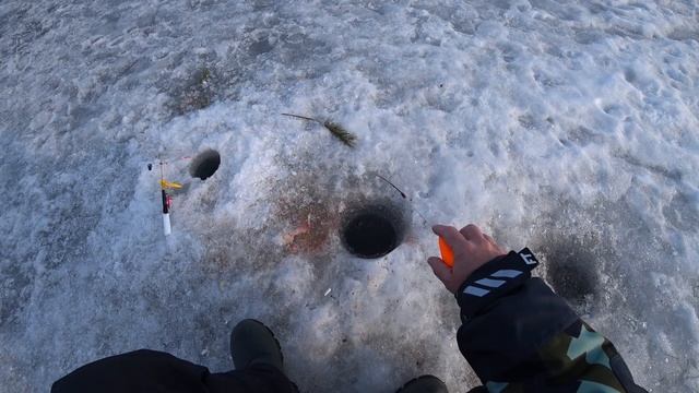 Зимняя рыбалка 29 03 2021.Закрытие зимней рыбалки. смотреть онлайн