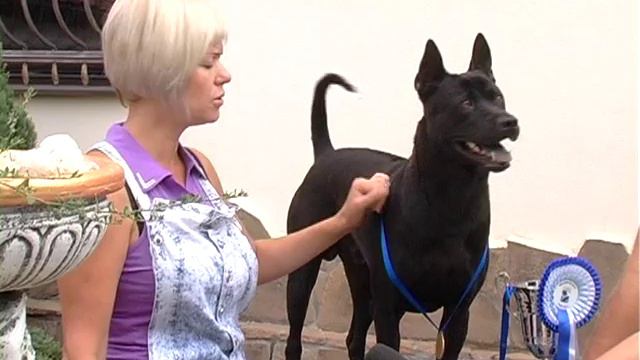 Pooh Thorn Of Noppakao-World Winner 2011,BOB!!!!! смотреть онлайн