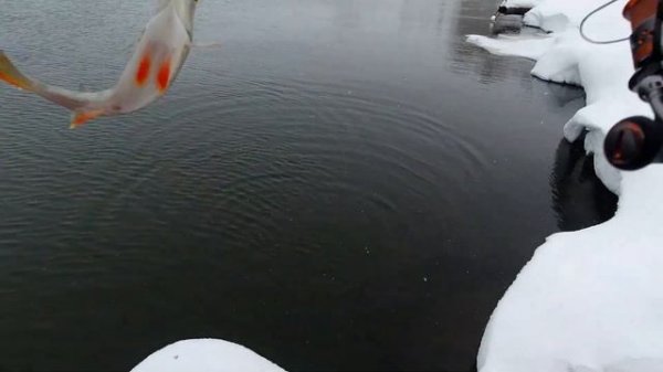 Микроджиг.Watatsumi AJING 610 S