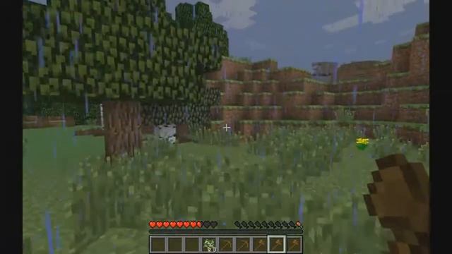 Let"s play по Minecraft #1-ЛОМАЕМ ДЕРЕВО ГОЛОВОЙ смотреть онлайн