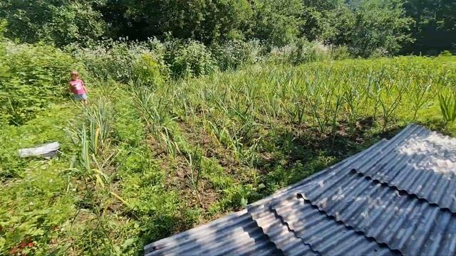 Легкая уборка