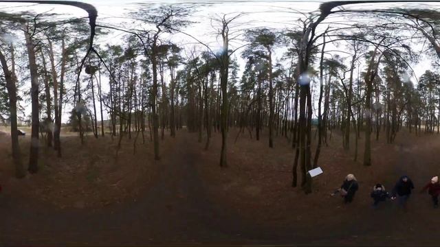 VR видео 360 | Правдинск Сосновый Бор Калининградская область. Пешая прогулка на свежем воздухе смотреть онлайн