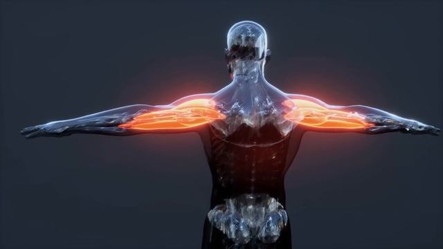 Ondas Alfa Curan El Daño En Cuerpo En 4 Minutos: Música Cura Ansiedad Y Depresión De Todo Cuerpo