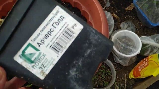 Выкапываю и пересаживаю черенки Роз. смотреть онлайн