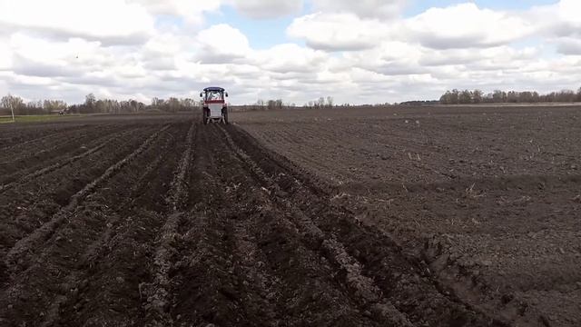 Садим картошку на Lovol 504 смотреть онлайн