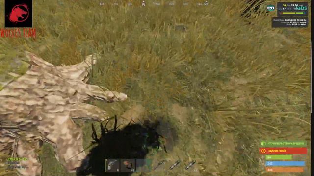 [ STREAM | RUST | РАСТ | LIVE ] 4-й день выживания на оффициалке. смотреть онлайн