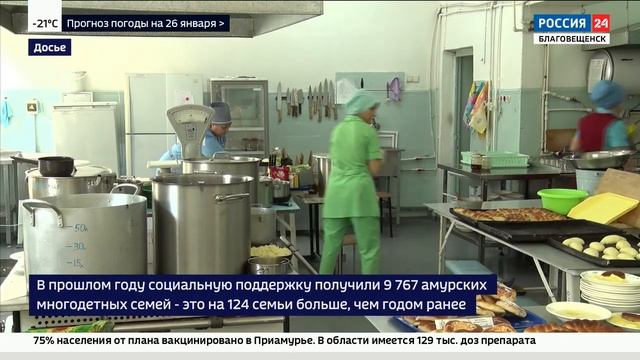 Итоги поддержки многодетных семей в Приамурье в 2021 году смотреть онлайн