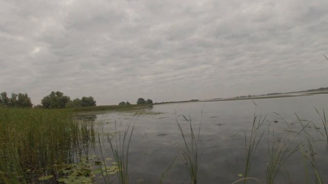 Открытие охоты на острове Вихрей по перу 2020 часть 2 смотреть онлайн