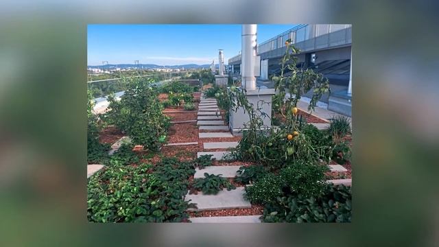 ЗЕЛЁНАЯ КРЫША, КОТОРУЮ МОЖЕТ СДЕЛАТЬ КАЖДЫЙ! САМЫЙ ДЕШЕВЫЙ ДОМ - НА МАРСЕ! смотреть онлайн