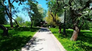 29 апреля — Великий понедельник: что можно и нельзя делать в первый день Страстной седмицы