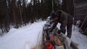 Приехал в избу, а там рыбак. Привёз целые сани вещей на ремонт. 1 серия. (Поход 19-20 марта 2023)