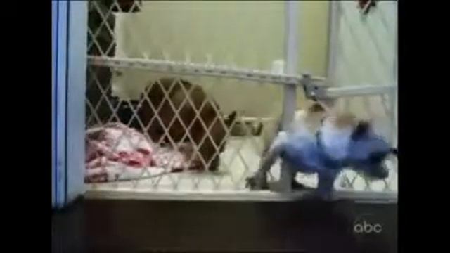 Собака и решетка смотреть онлайн