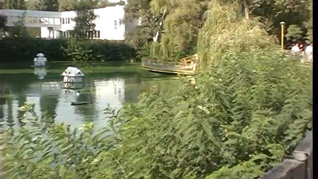 Прогулка на свадьбе . смотреть онлайн