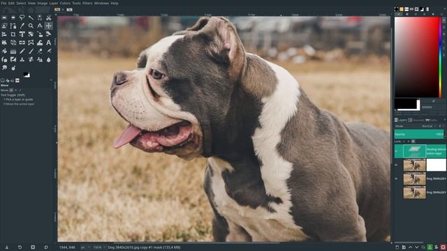 Color Vibrance with Gimp 2.10.8 смотреть онлайн