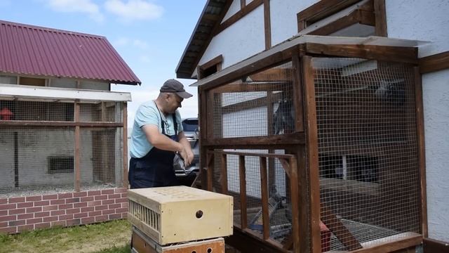 712 км. ГЛАВНЫЙ ЭКЗАМЕН. ЛУЧШЕГО НЕТ смотреть онлайн