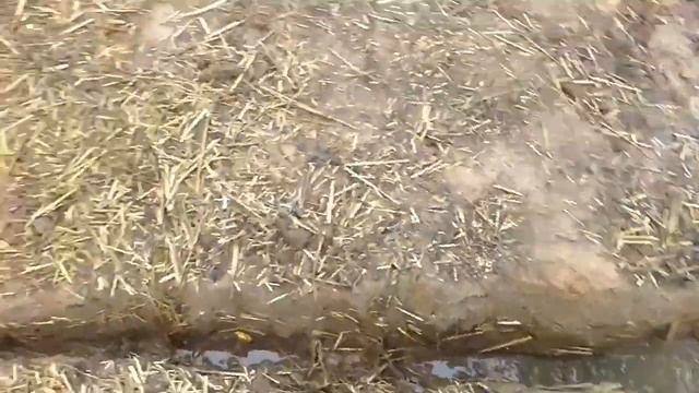 Соломенный дом 6 смотреть онлайн