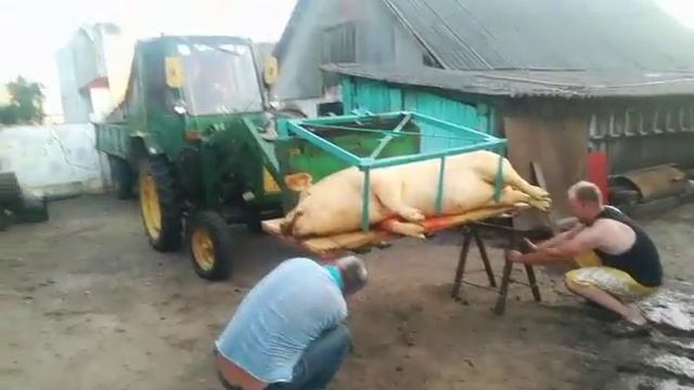 Хороший помощник в хозяйстве смотреть онлайн