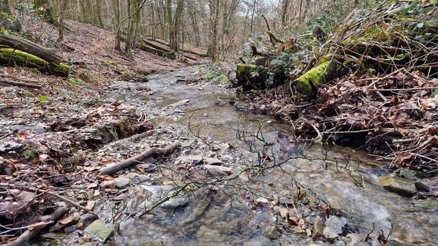 Журчит ручей в лесу. Поют птицы. Расслабляющие звуки леса для сна и отдыха. Звуки природы. Релакс. смотреть онлайн