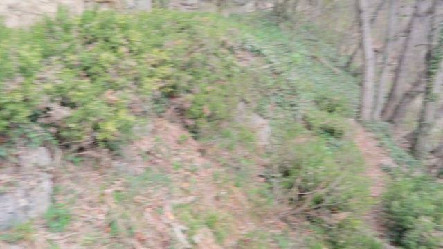 МАЙСКИЕ В КРЫМУ. БОТКИНСКАЯ И ШТАНГЕЕВСКАЯ ТРОПЫ - КАК ПРОЙТИ. ВОДОПАД УЧАН-СУ.ВИДЫ НА ЯЛТУ. (2) смотреть онлайн