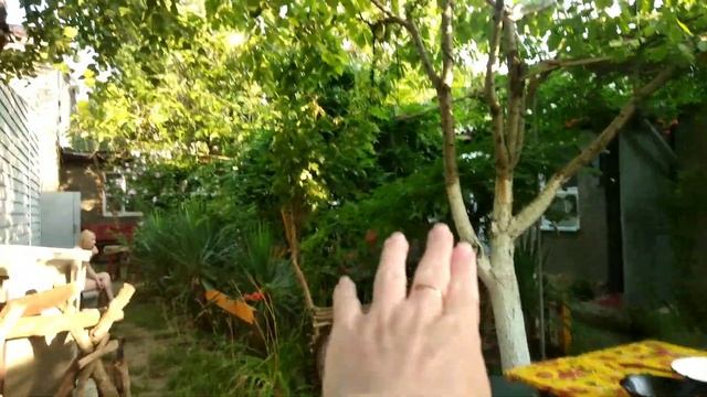 Станица Благовещенская 2021/Обзор нашего гостевого дома смотреть онлайн