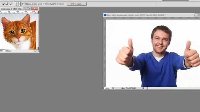 Как сделать вместо лица человека  лицо кошки ? PhotoshopCS5