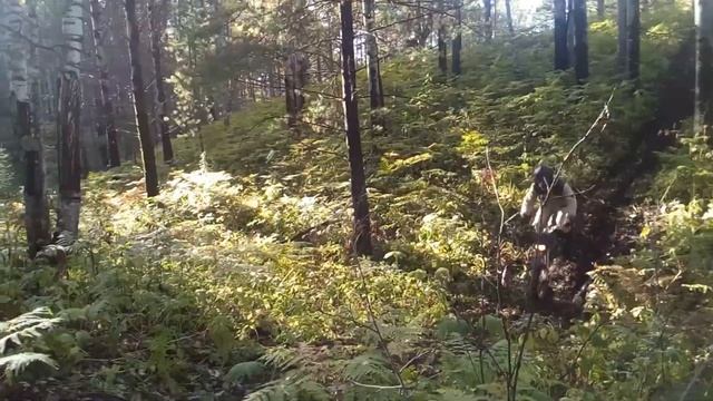 6. Питбайк Fighter 125cc (звук, гора, 28.08.20) смотреть онлайн