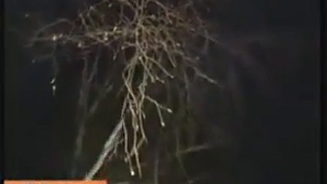 Спасение кота Барсика смотреть онлайн