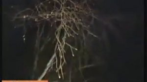 Спасение кота Барсика