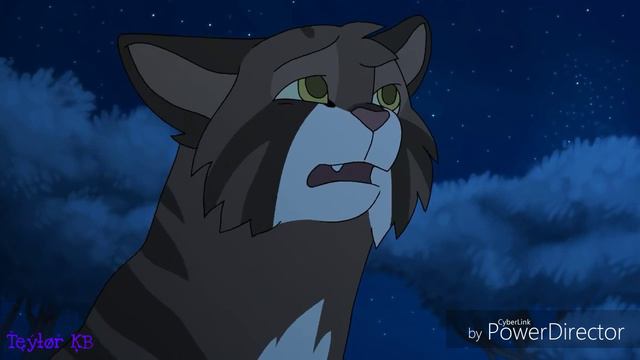 ¦Warriors cats animatic¦~«Я могу навсегда уйти...» смотреть онлайн