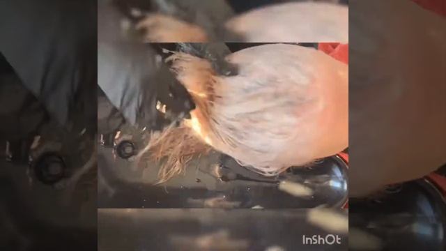 Vitaker Hair Therapy Step By Step