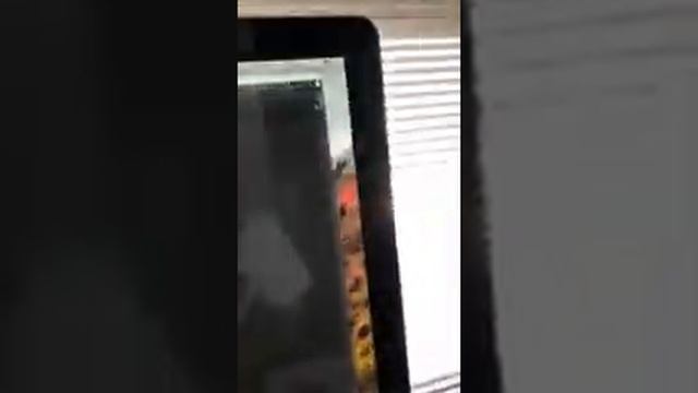 WebView can’t render Pixi.JS content смотреть онлайн