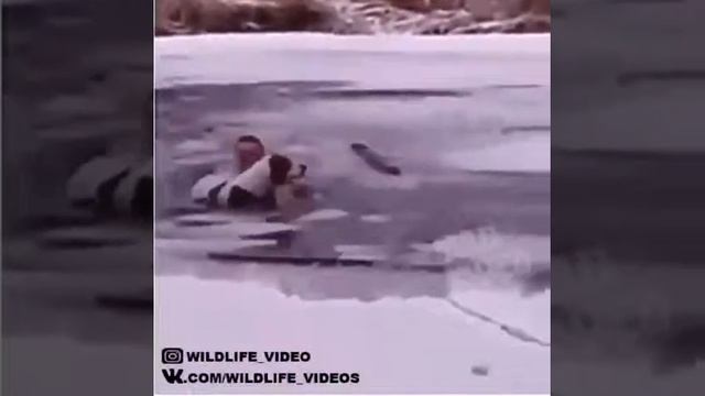 Это заслуживает уважение людей смотреть онлайн