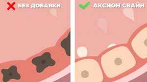 Аксион Свайн: повышение молочной продуктивности свиноматок